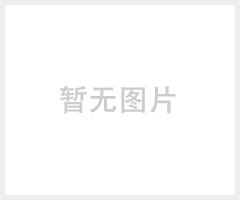 轻型钢板网